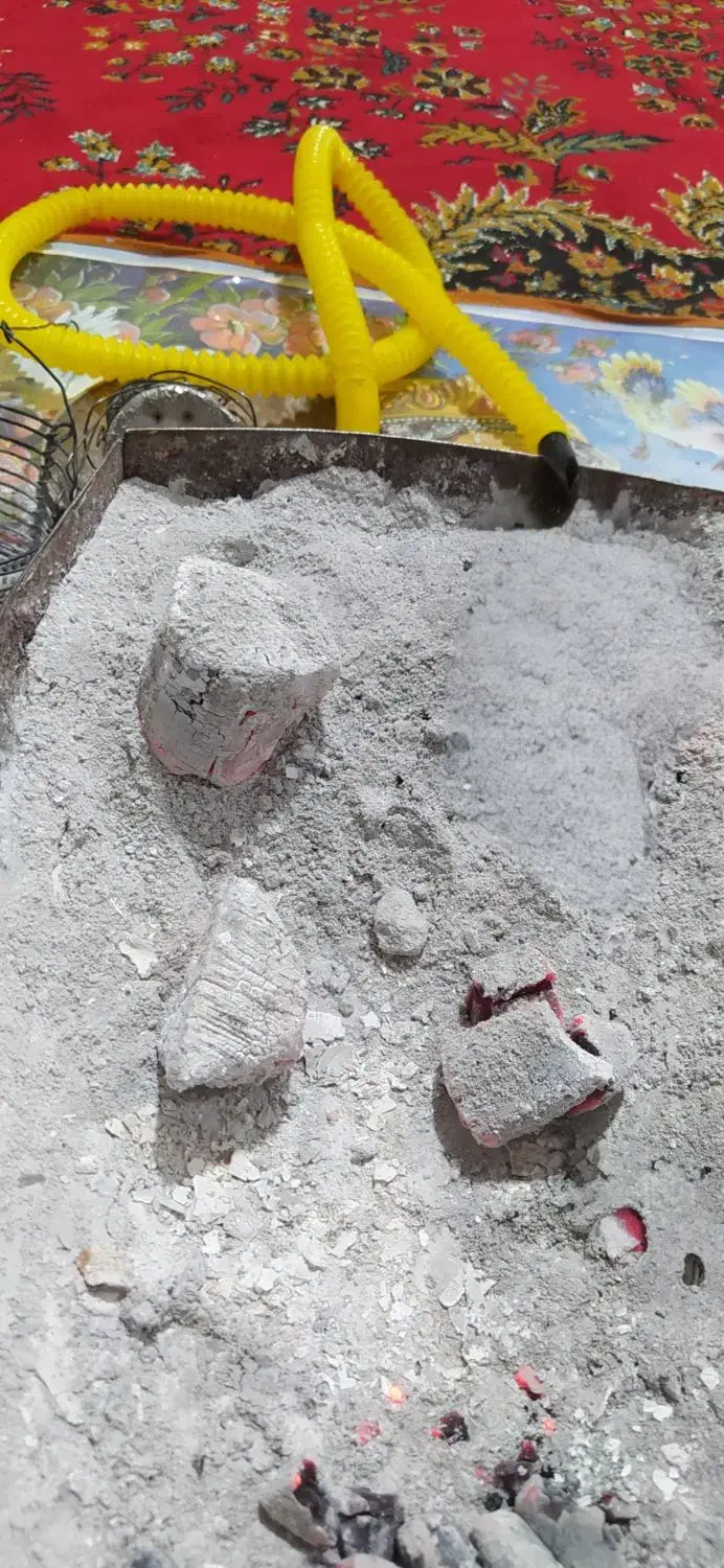 زغال|عمده‌فروشی|شیراز, شهرک کوثر|دیوار