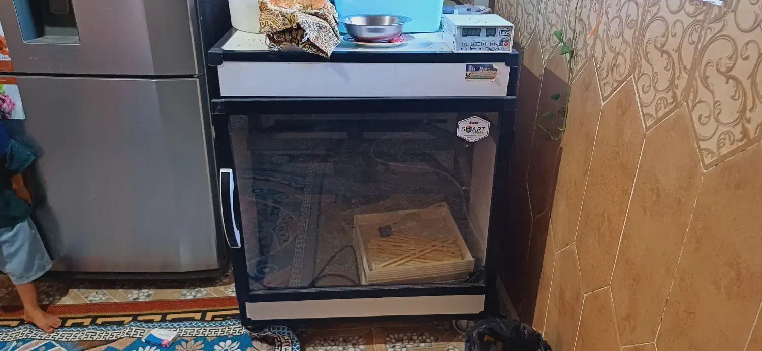 لوازم جانبی وحیوانات|لوازم جانبی حیوانات|بهشهر, |دیوار