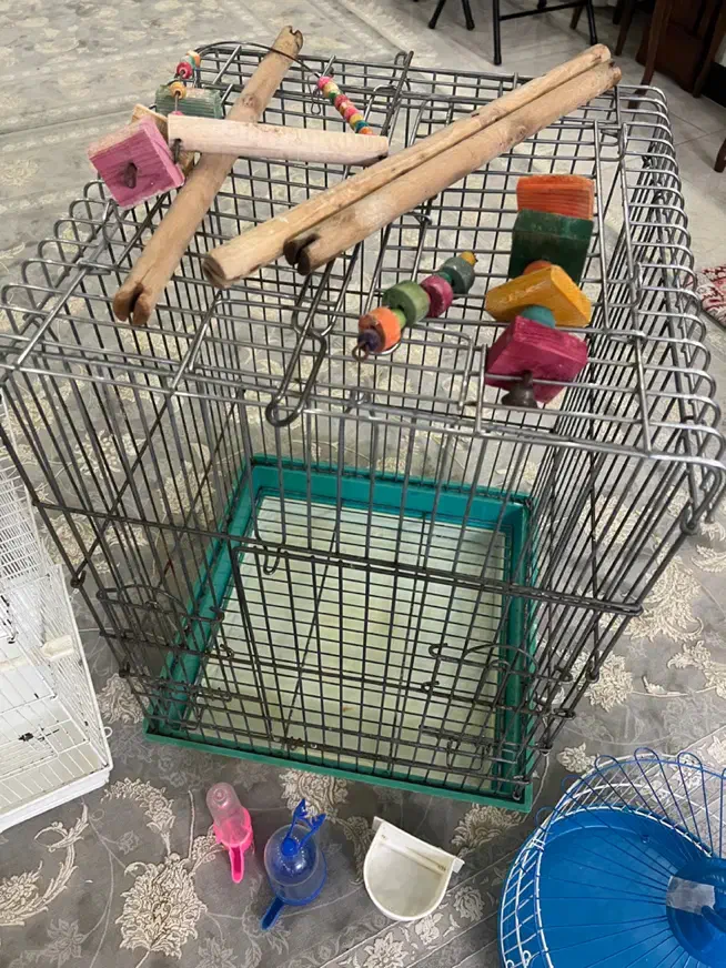 قفس و اسباب بازی پرنده|لوازم جانبی حیوانات|لاهیجان, امیرشهید|دیوار