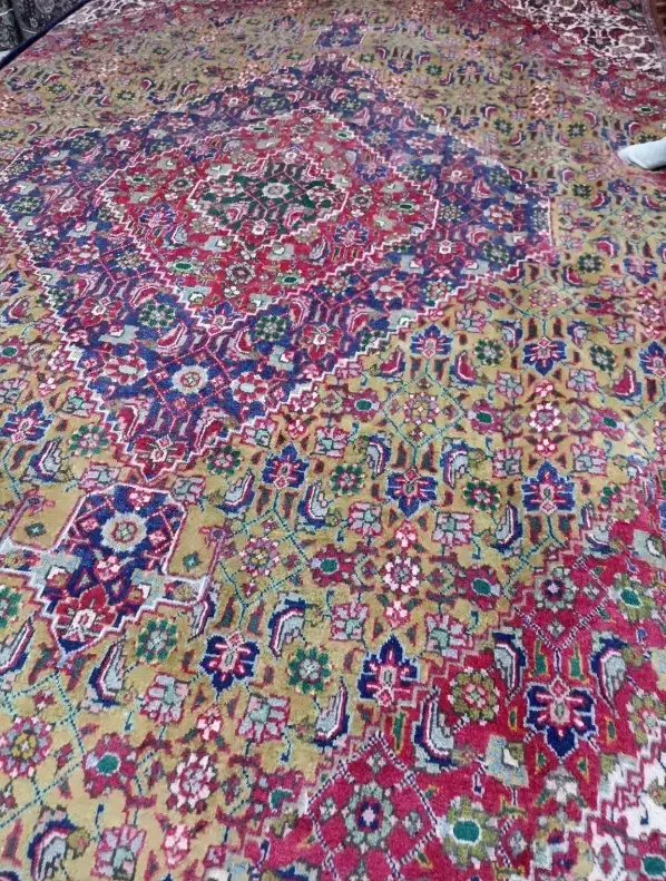 تک 12متری دستباف طرح ماهی رنگ کم یاب|فرش|تهران, آرژانتین|دیوار