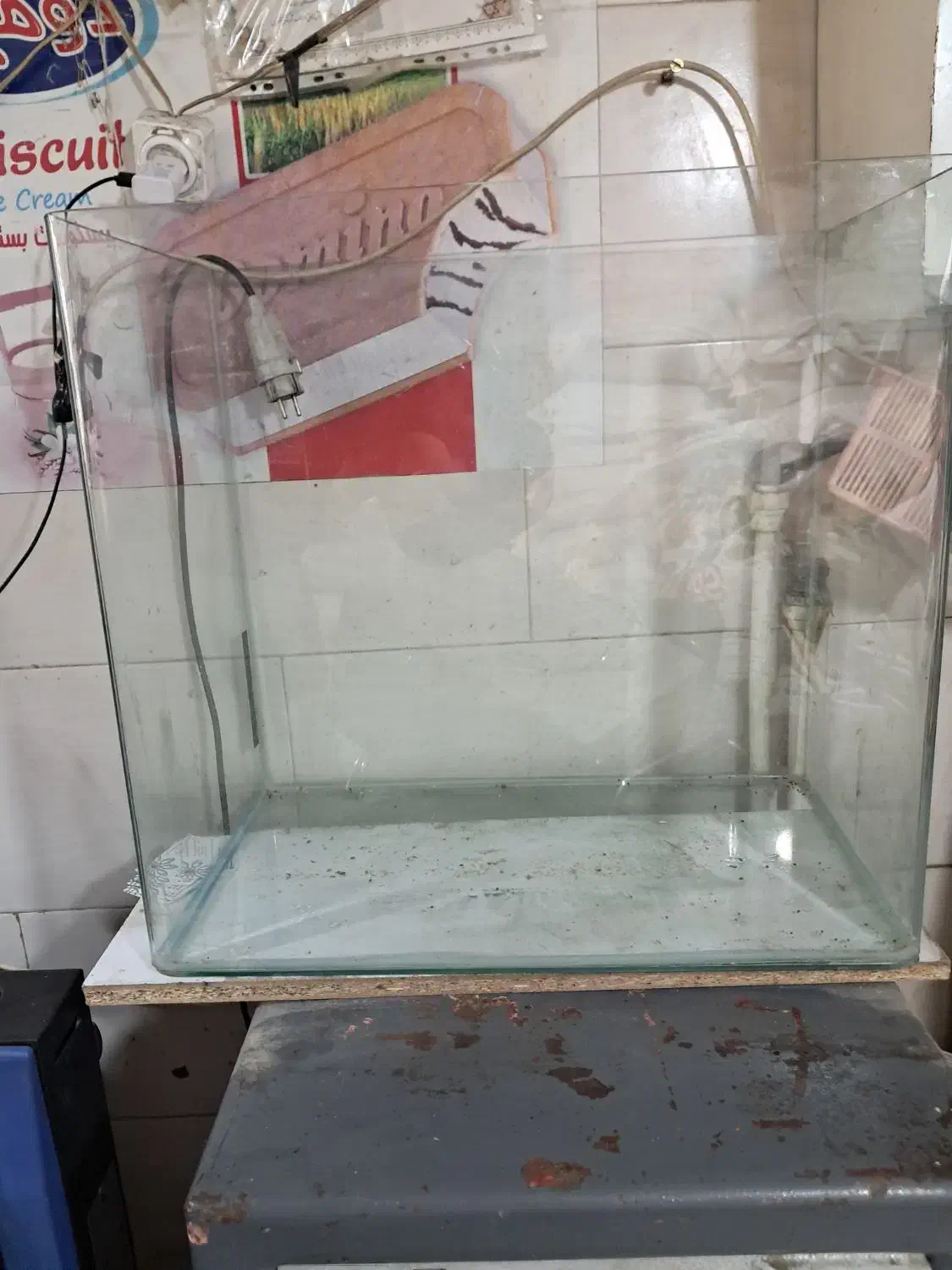 آکواریوم شیشه خم|ماهی|فردیس, سرحدی|دیوار