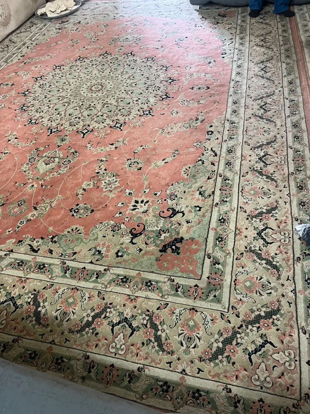 دوعدد فرس ۱۲متری|فرش|شلمان, |دیوار