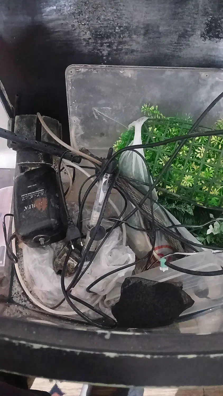 آکواریوم با تمام وسایل|ماهی|کرمانشاه, |دیوار