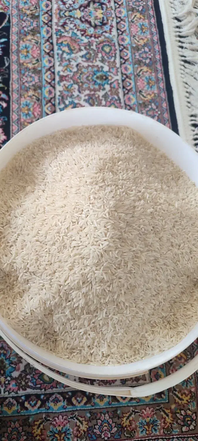 برنج سالم ونیم دانه طارم رودبار|خوردنی و آشامیدنی|کوهدشت, |دیوار