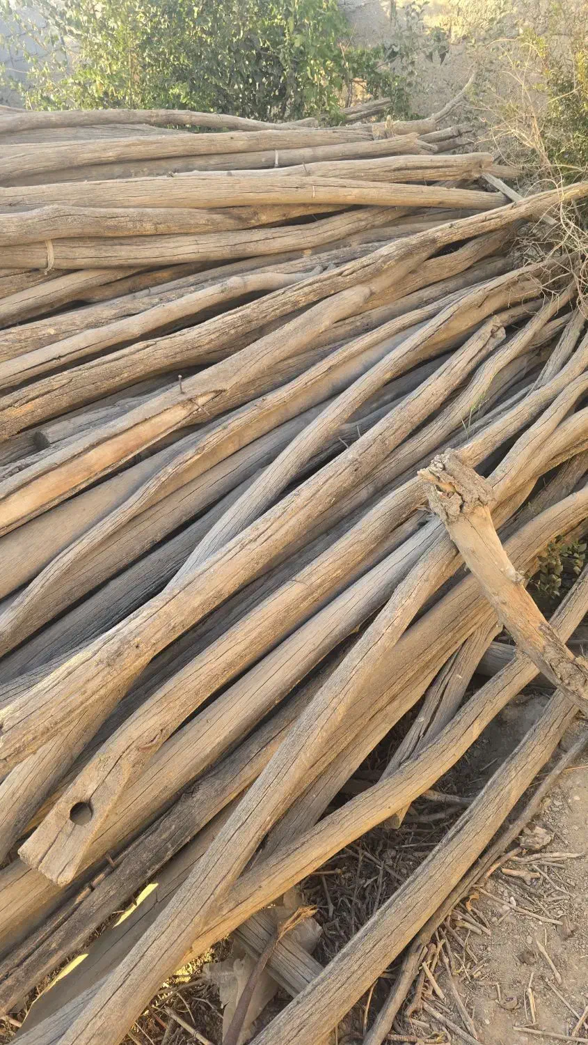 چوب داربست انگور/هیزم برای اتش|خدمات باغبانی و درختکاری|اصفهان, قائمیه|دیوار