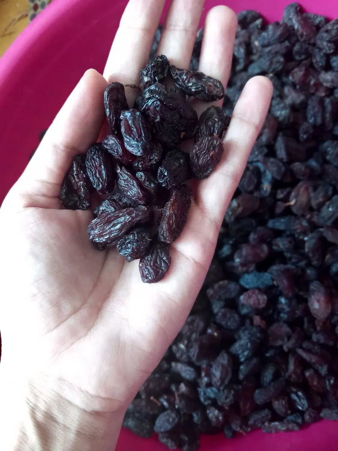 کشمش مویز  آفتابی درجه یک|خوردنی و آشامیدنی|ساوه, |دیوار