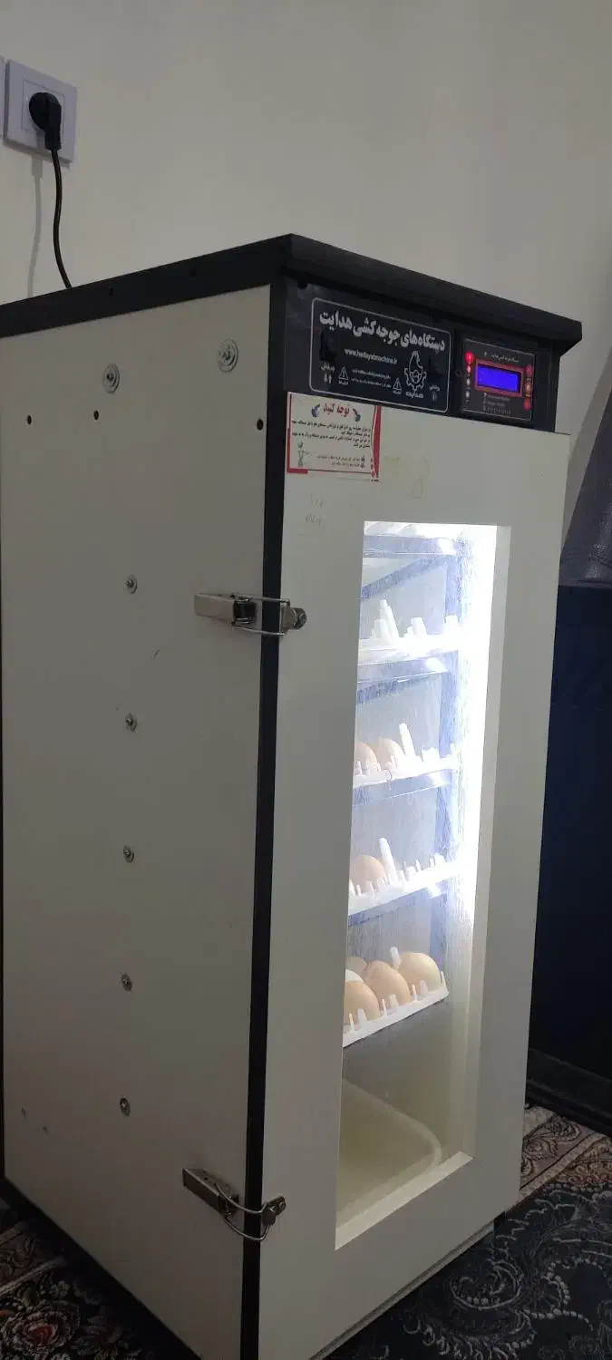 دستگاه جوجه کشی|لوازم جانبی حیوانات|کاشمر, |دیوار