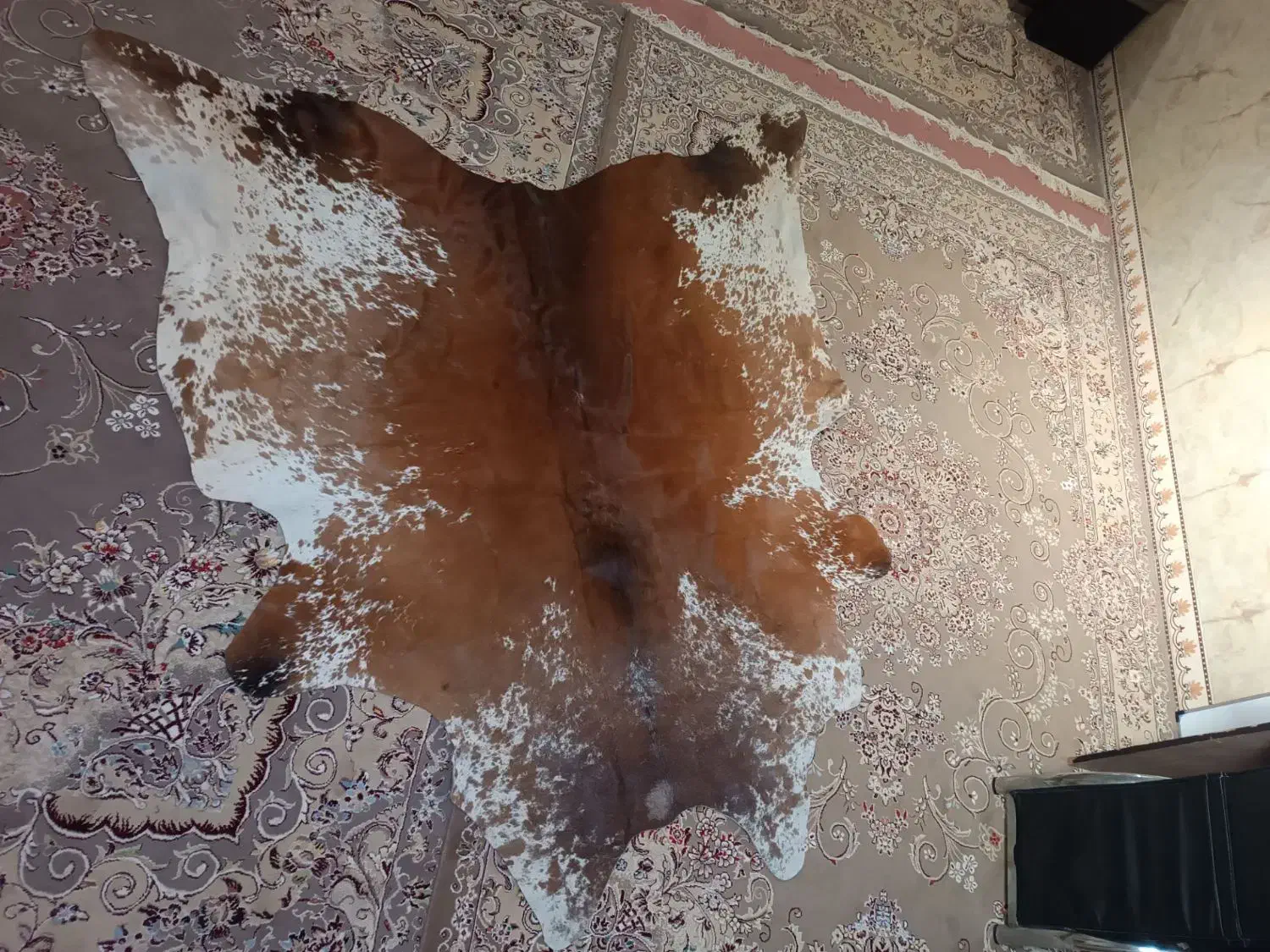 پوست گاو|صنایع دستی و سایر لوازم تزئینی|بیستون, |دیوار