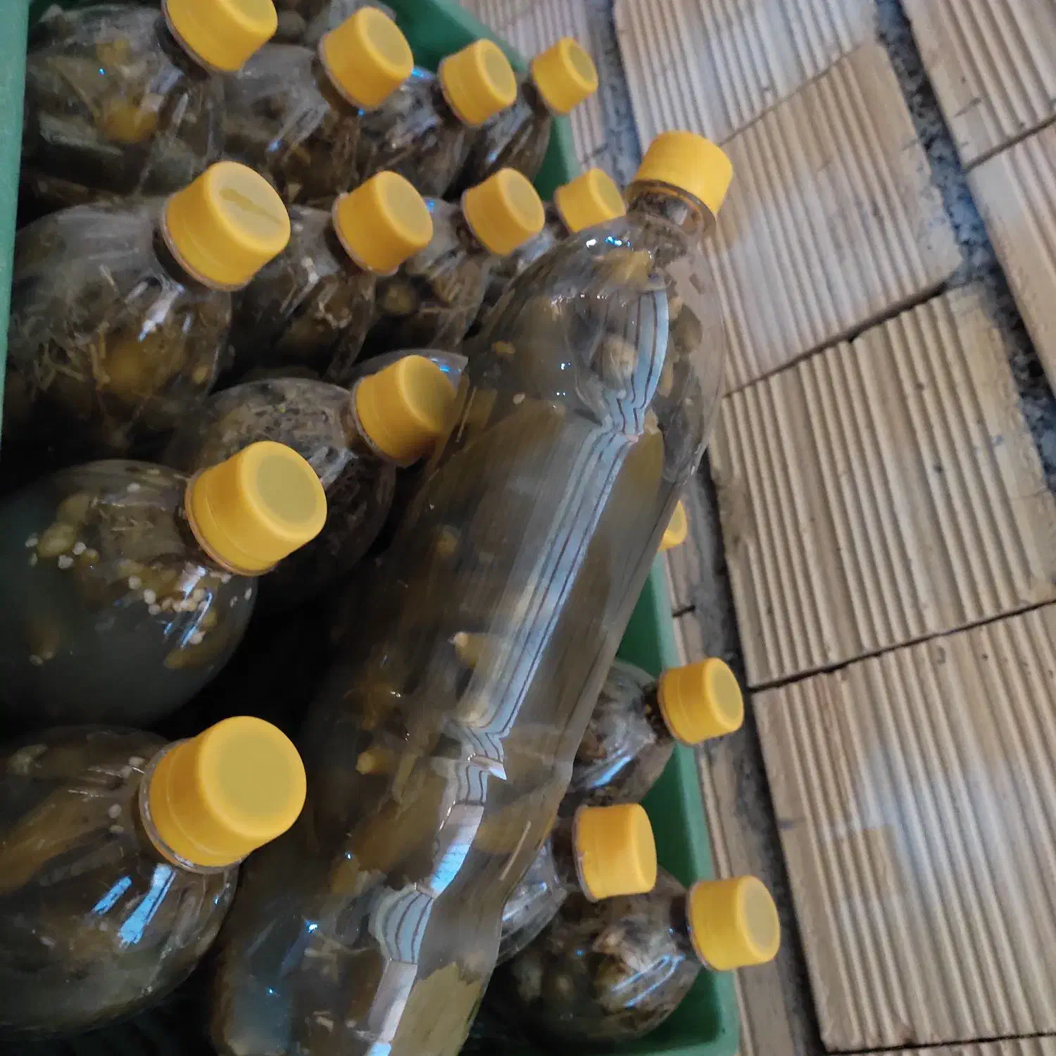 خیار شور|خوردنی و آشامیدنی|گیان, |دیوار