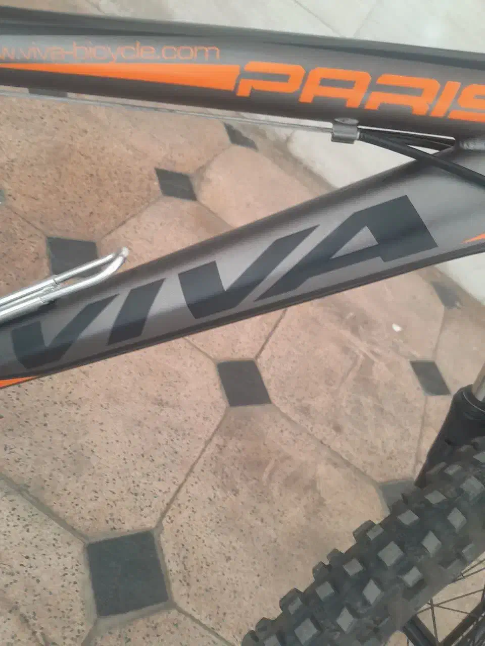 دوچرخه 24 ویوا اصل|دوچرخه، اسکیت، اسکوتر|همدان, |دیوار