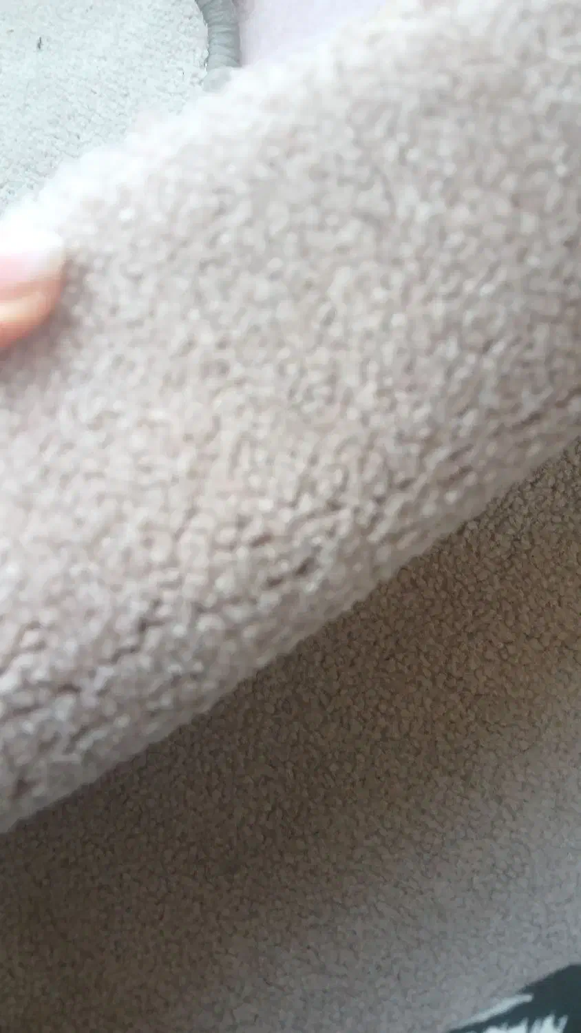 موکت پالاز کرم رنگ|موکت|کرمانشاه, |دیوار