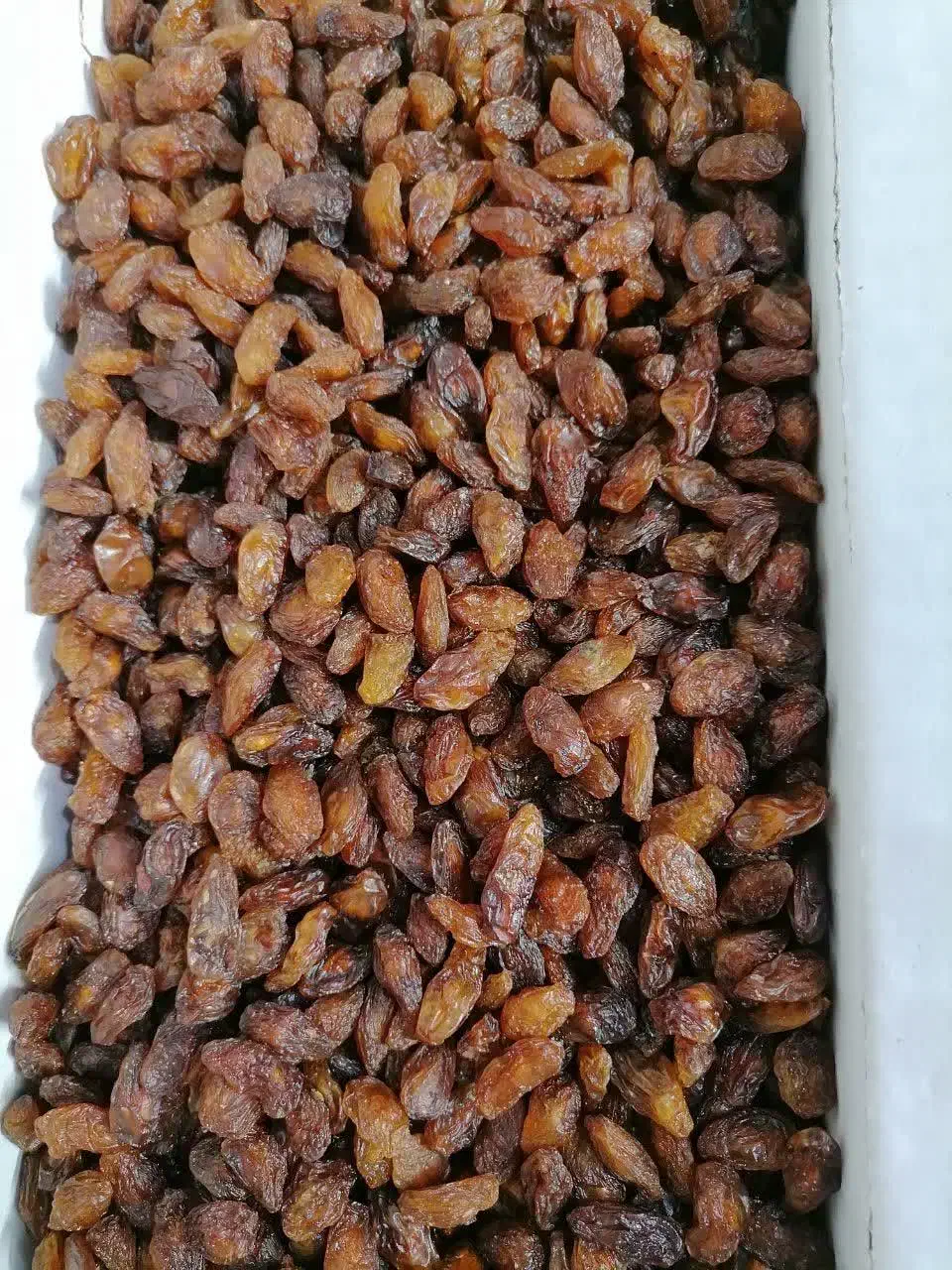 کشمش آفتابی و اعلا مستقیم از تاکستان گردو اعلا|خوردنی و آشامیدنی|نیشابور, دارایی|دیوار