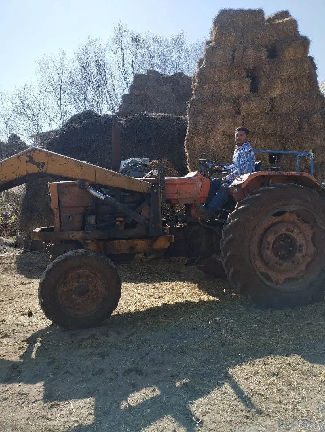 کود دامی خشک|خدمات باغبانی و درختکاری|اردبیل, |دیوار