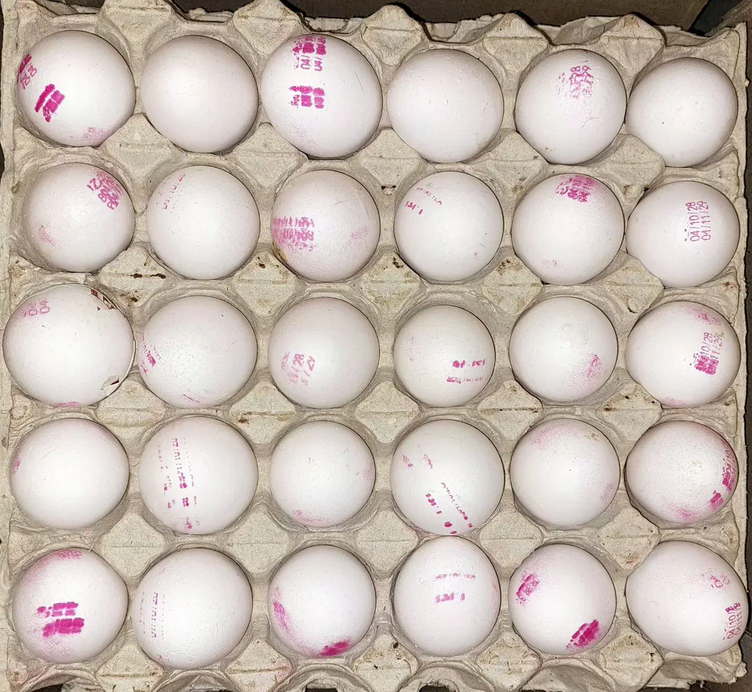 تخم مرغ|خوردنی و آشامیدنی|محمدشهر, سیدآباد|دیوار