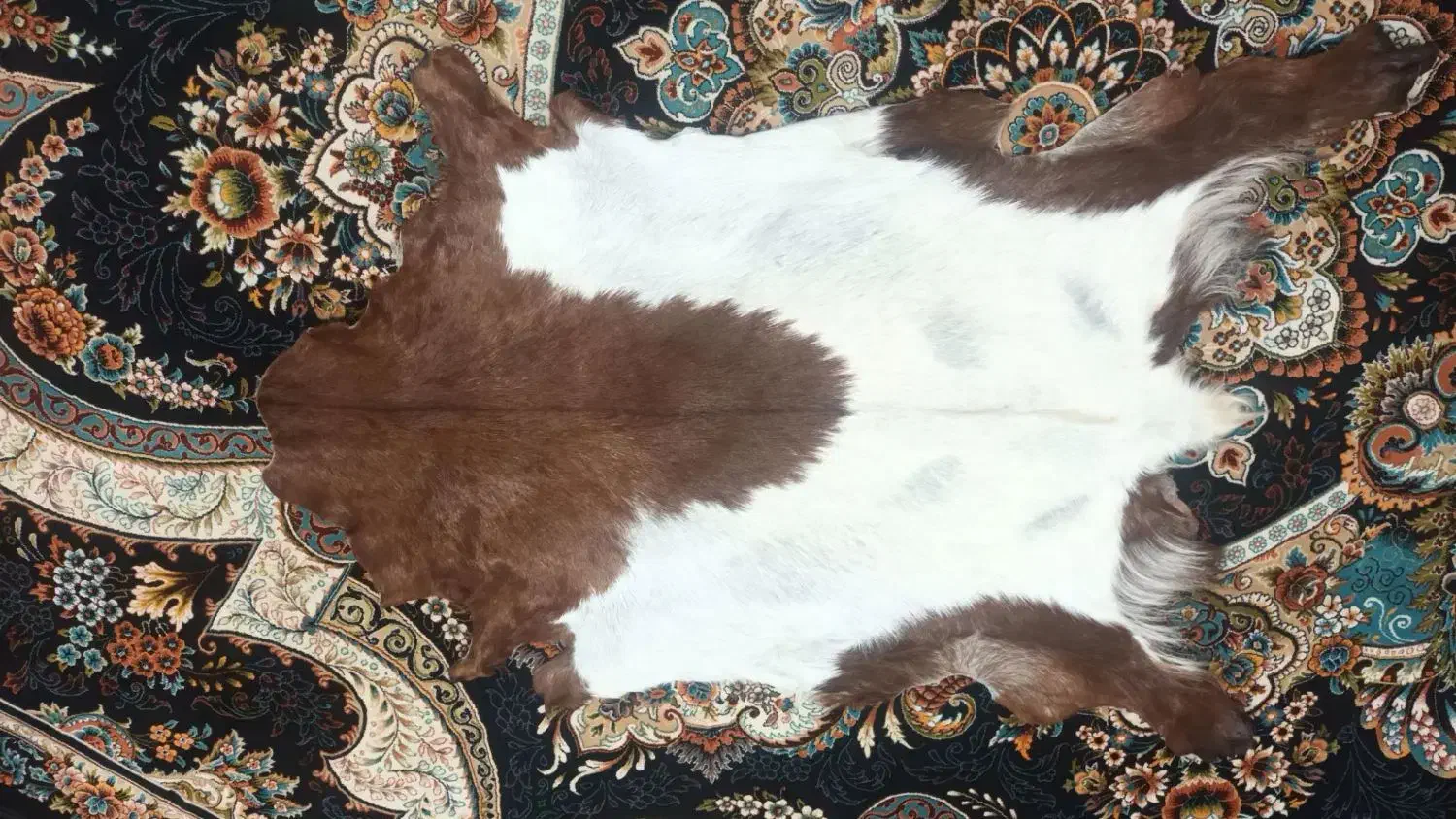 پوست بز|کلکسیون و سرگرمی|سنقر, |دیوار