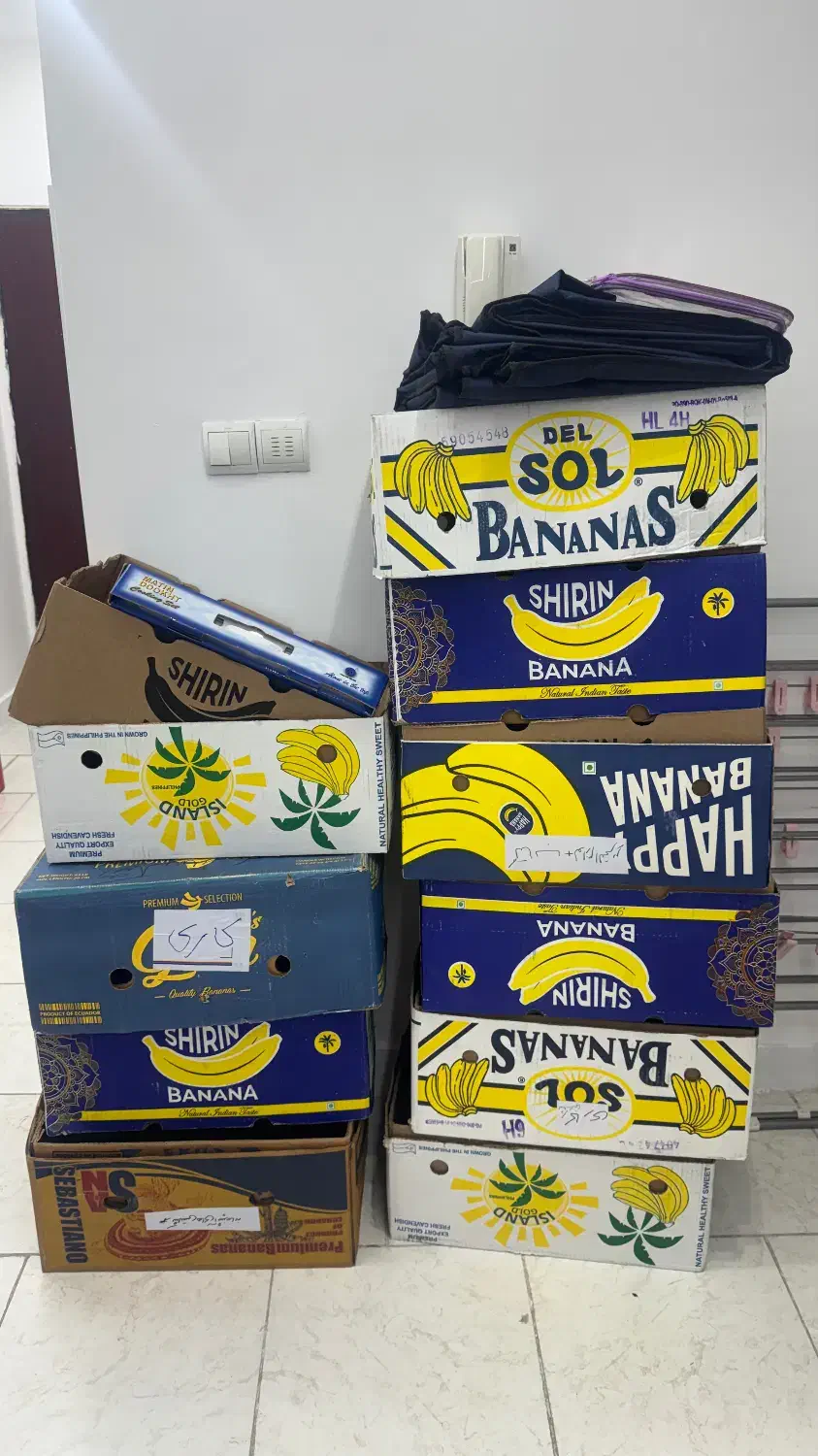 کارتن موزی|ابزارآلات|هشتگرد, فاز ۷ مهستان|دیوار