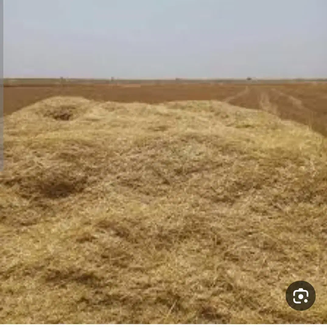 خریدوفروش کاه|لوازم جانبی حیوانات|زنجان, |دیوار