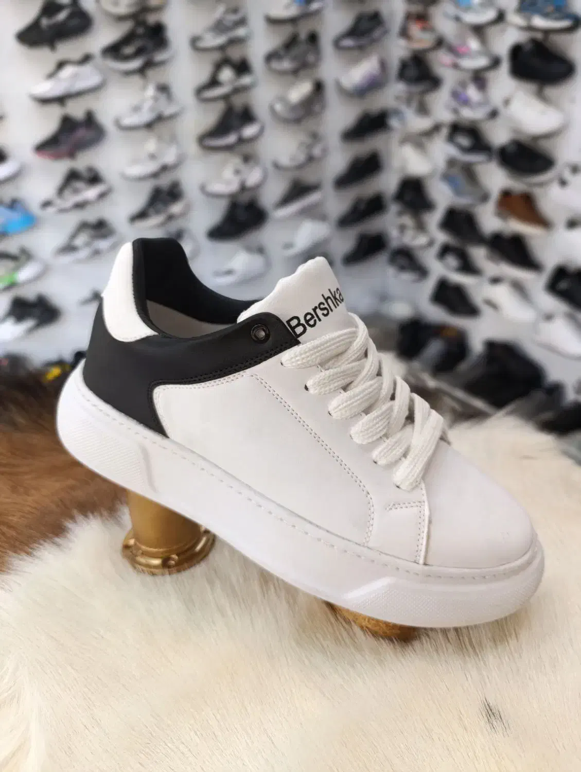 کارهای ونس OF خورده همه مدل 780/000 امین اسپرت|کیف، کفش، کمربند|قم, نیروگاه|دیوار