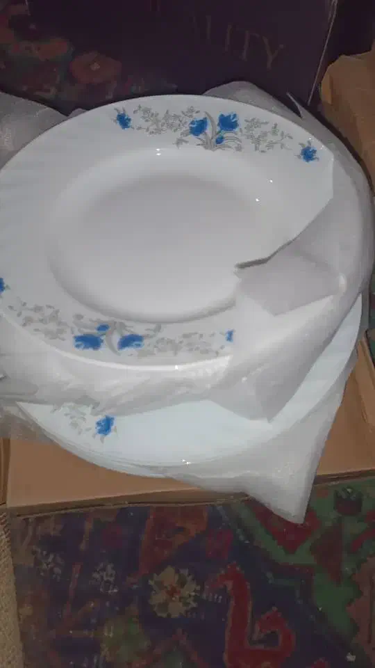 ارکوپال|ظروف سرو و پذیرایی|درح, |دیوار