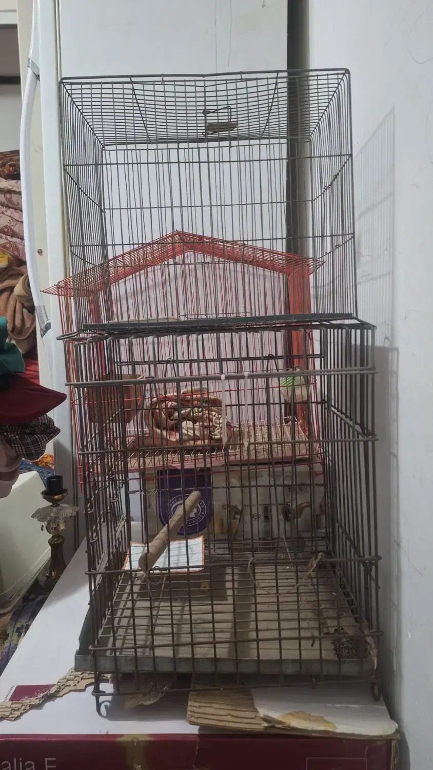 قفس پرنده|لوازم جانبی حیوانات|شهریار, شهریار|دیوار