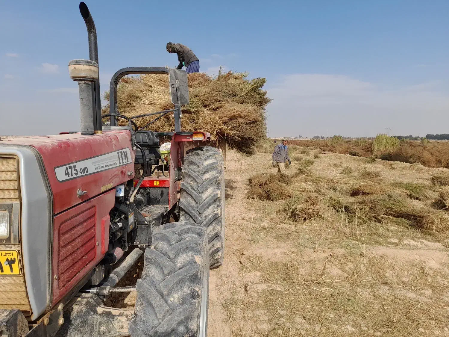 جاروی فراشی عمده|خدمات نظافت|حبیب آباد, |دیوار