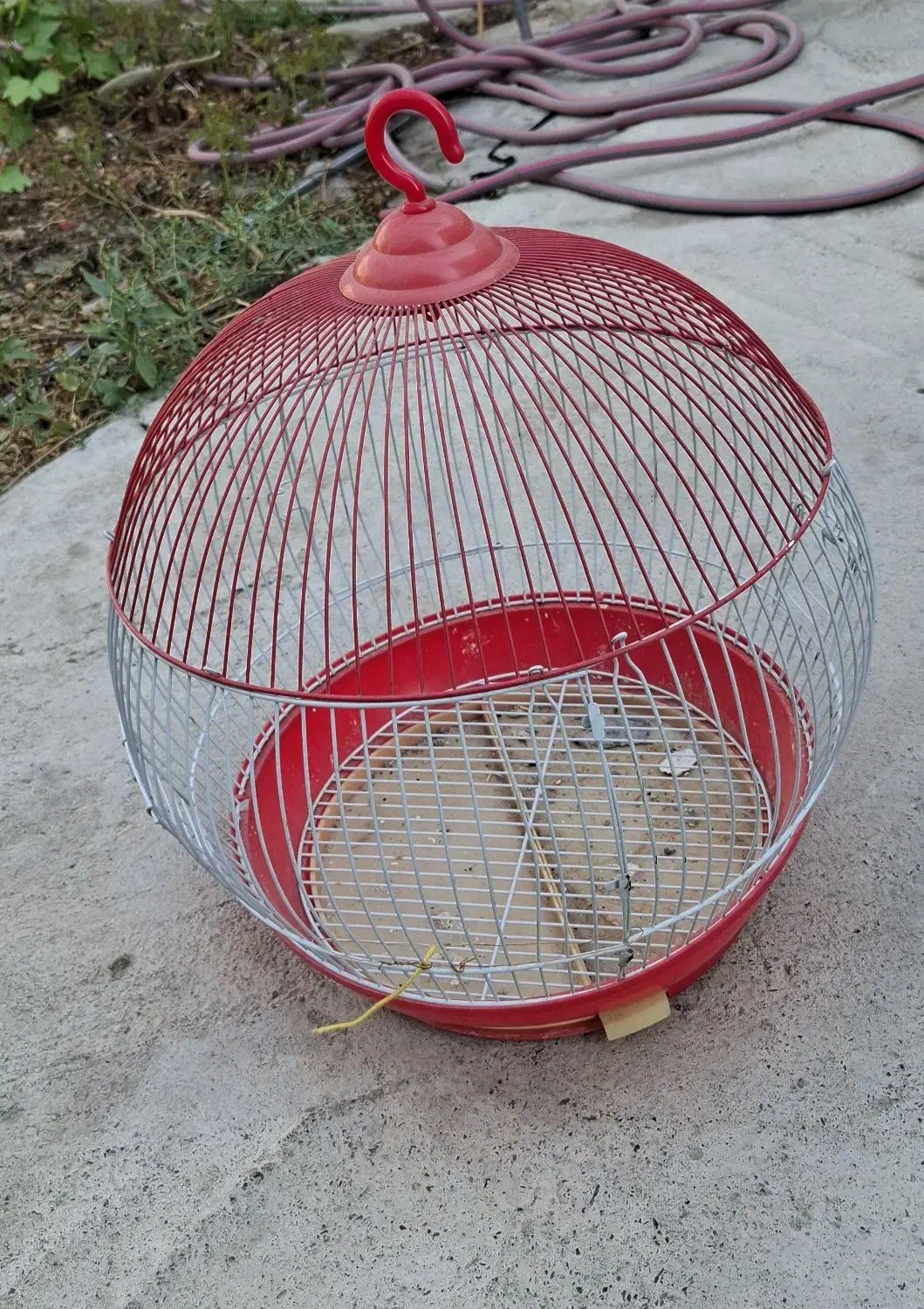 پرنده|لوازم جانبی حیوانات|نقده, |دیوار