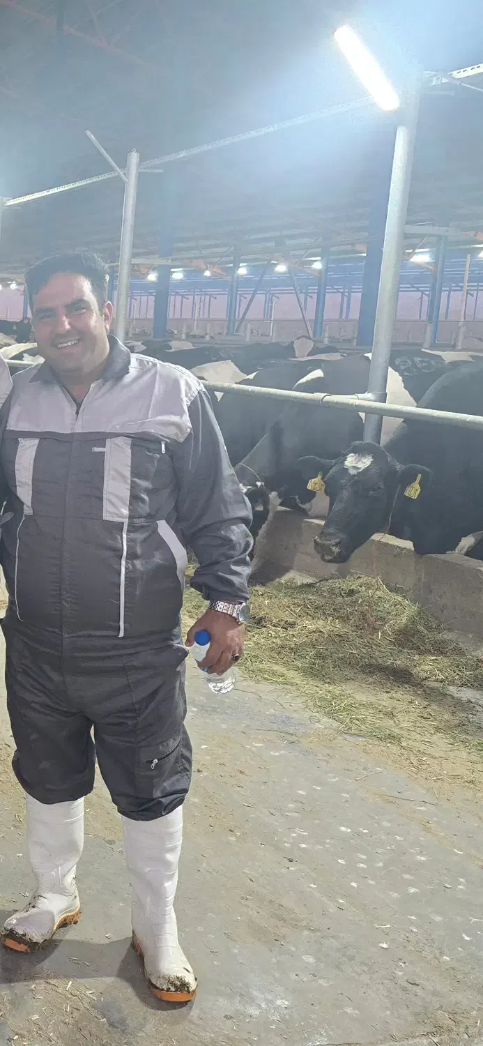 جیره‌نویسی تخصصی گاو و گوسفند با ۱۵ سال تجربه|خدمات پیشه و مهارت|تربت جام, پاسداران|دیوار