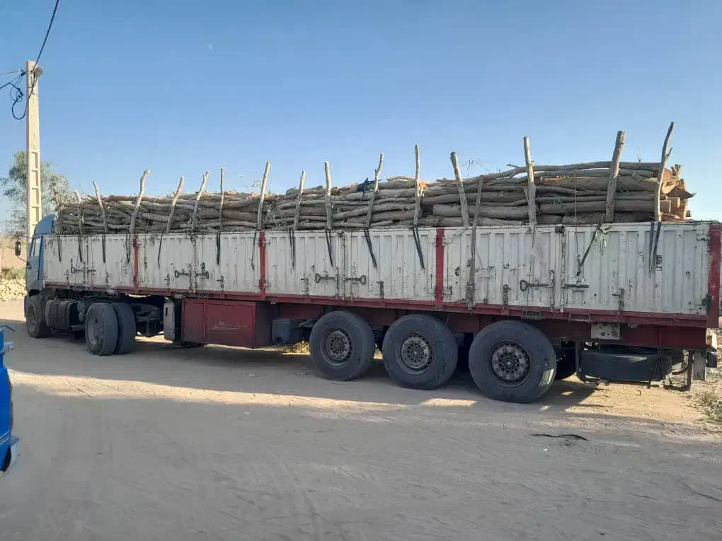 خریدانواع چوب|خدمات باغبانی و درختکاری|جیرفت, |دیوار