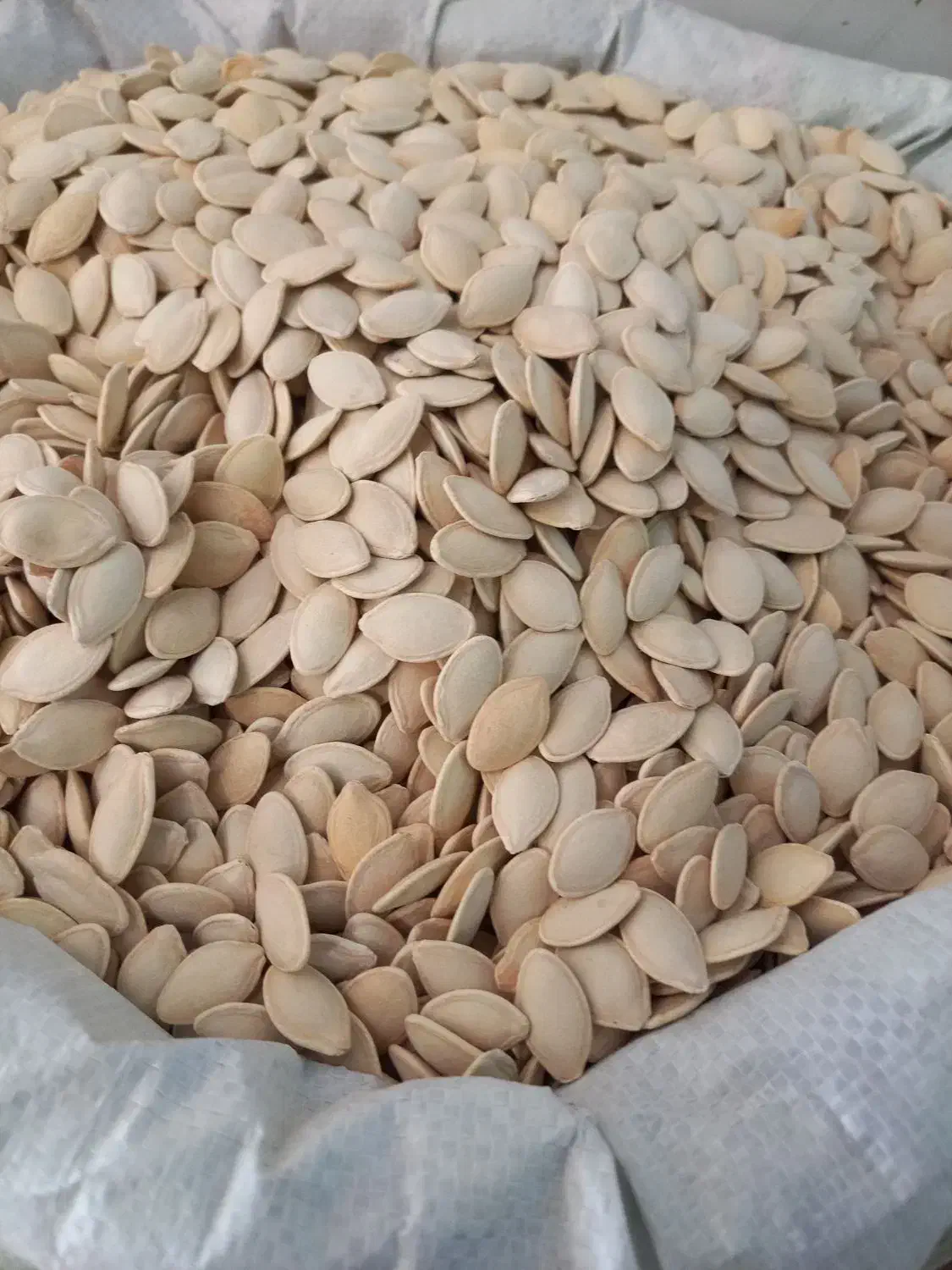 انواع اجیل پسته .|خوردنی و آشامیدنی|امیرآباد, |دیوار