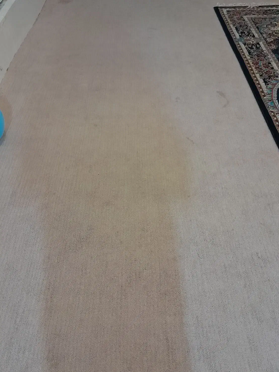 سه عدد پالاز موکت ۱۲متری|موکت|دهلران, |دیوار