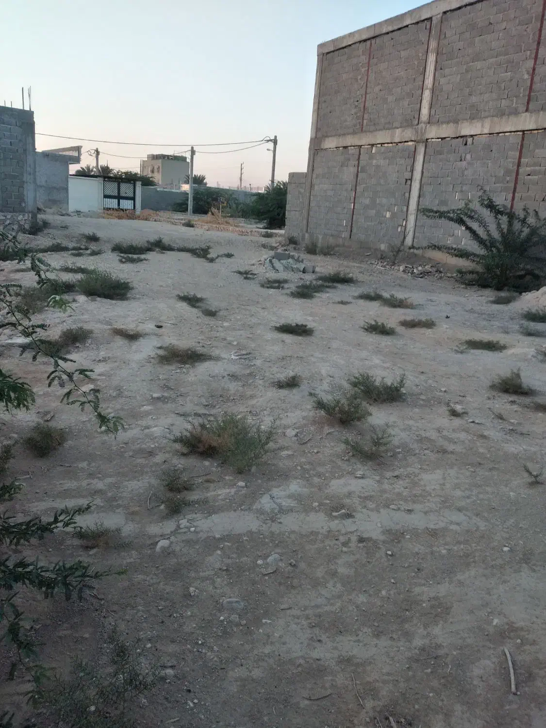 زمین متراژ200|فروش زمین و ملک کلنگی|دلوار, |دیوار