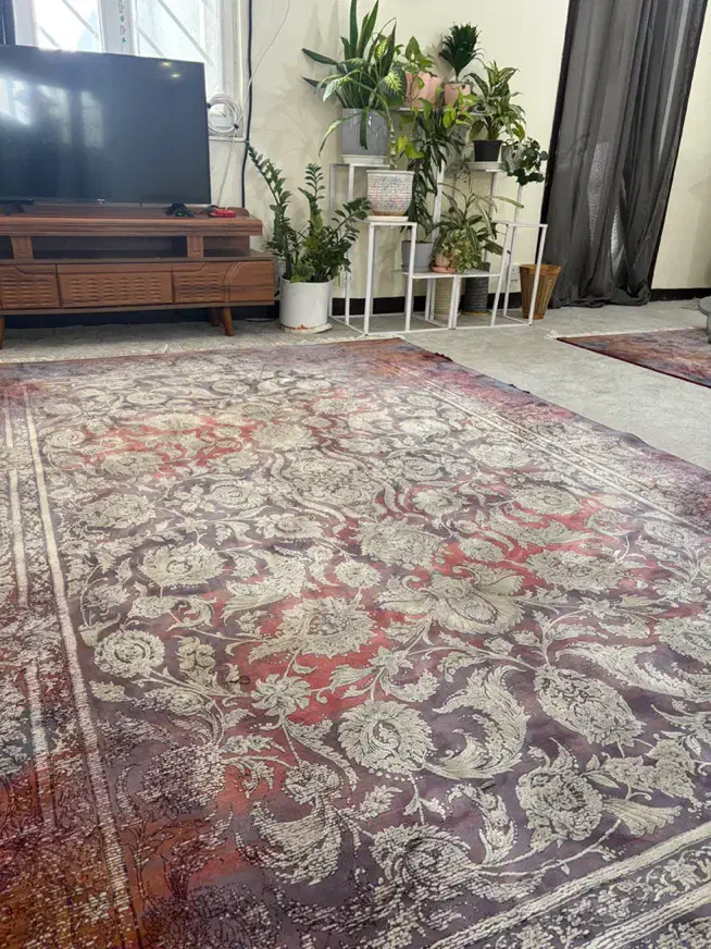 فرش خاطره کاشان|فرش|دوگنبدان, |دیوار