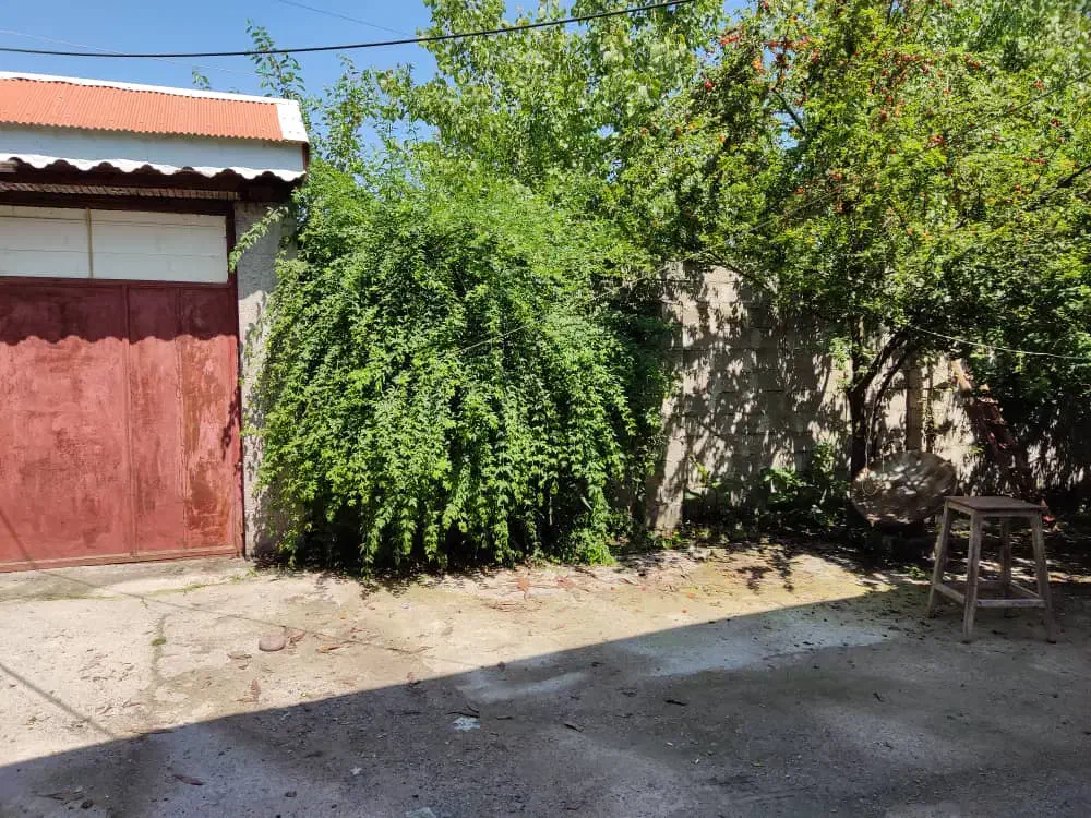 ویلا باغ ۳۴۰ متری با ۷۵ متر بنا دو خواب|فروش خانه و ویلا|کوچصفهان, |دیوار