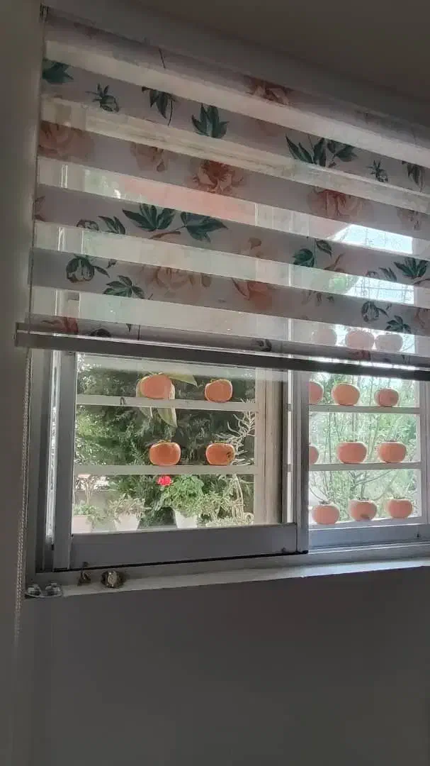 پرده پانچ و توری و پرده زبرا فروشی|پرده، رانر، رومیزی|آمل, |دیوار