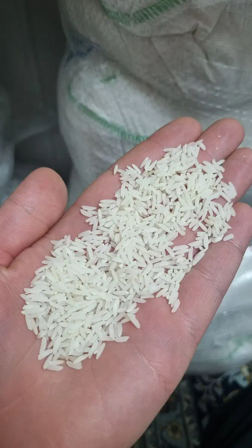 برنج طارم هاشمی خالص و سورت‌شده|خوردنی و آشامیدنی|قم, شاه سید علی|دیوار