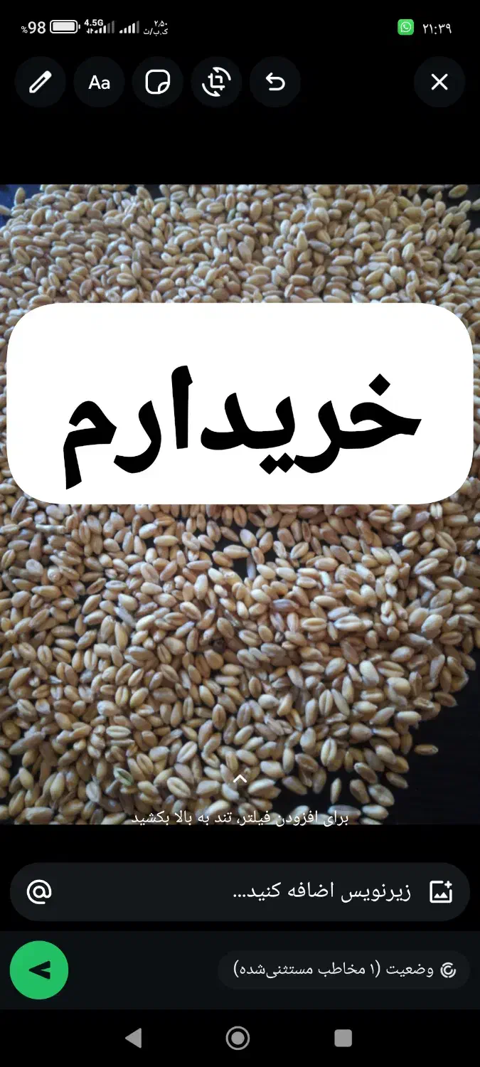 جو گندم ذرت|لوازم جانبی حیوانات|زرقان, |دیوار