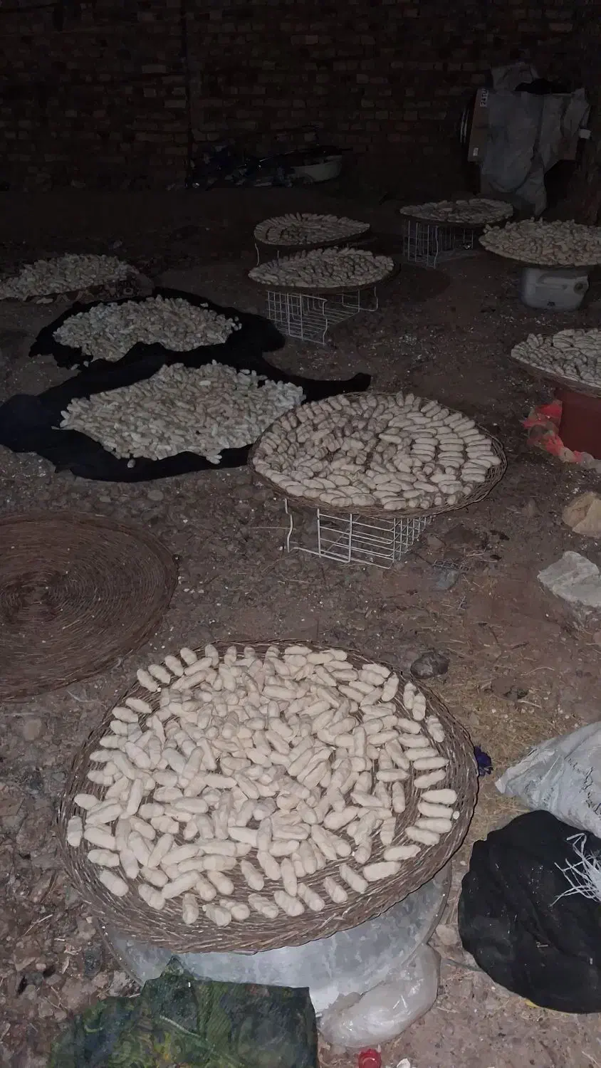 کره گاوه قروت غره قورت|خوردنی و آشامیدنی|سده (خراسان جنوبی), |دیوار