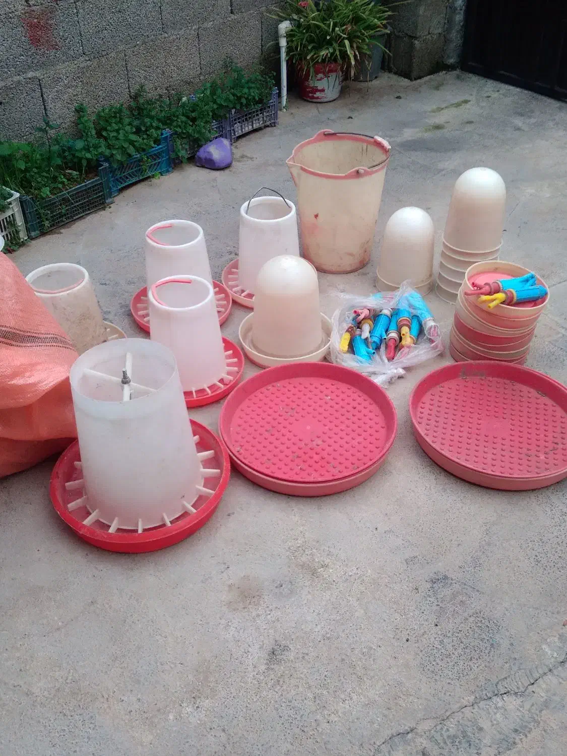 دان خوری مرغ|لوازم جانبی حیوانات|صومعه‌سرا, |دیوار