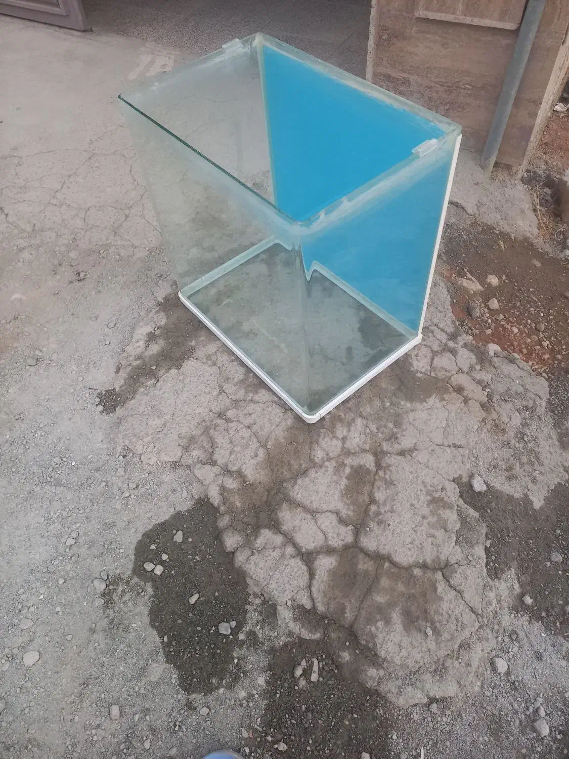 آکواریوم شیشه خم بزرگ و جا دار|ماهی|کرمانشاه, |دیوار