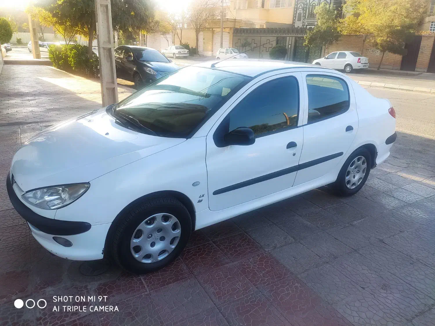 206 SD مدل 94|خودرو سواری و وانت|کرمان, |دیوار