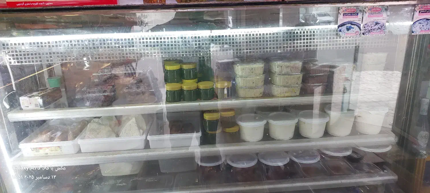 یخچال ویترینی مغازه|فروشگاه و مغازه|رشت, کاکتوس|دیوار