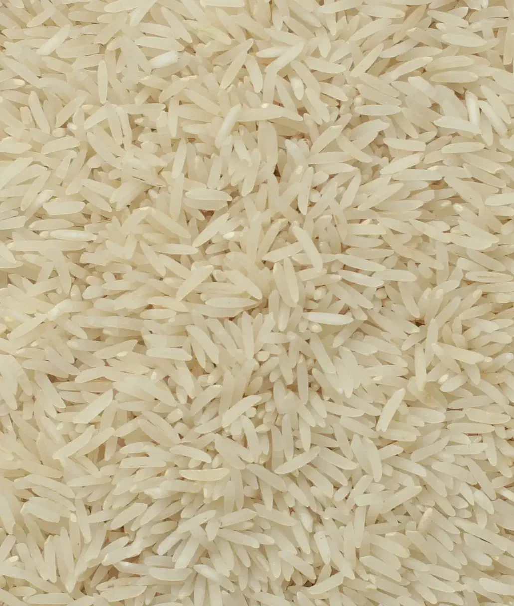 برنج فجر سوزنی .خوش عطر بو .سورت شده ..|خوردنی و آشامیدنی|گرگان, |دیوار