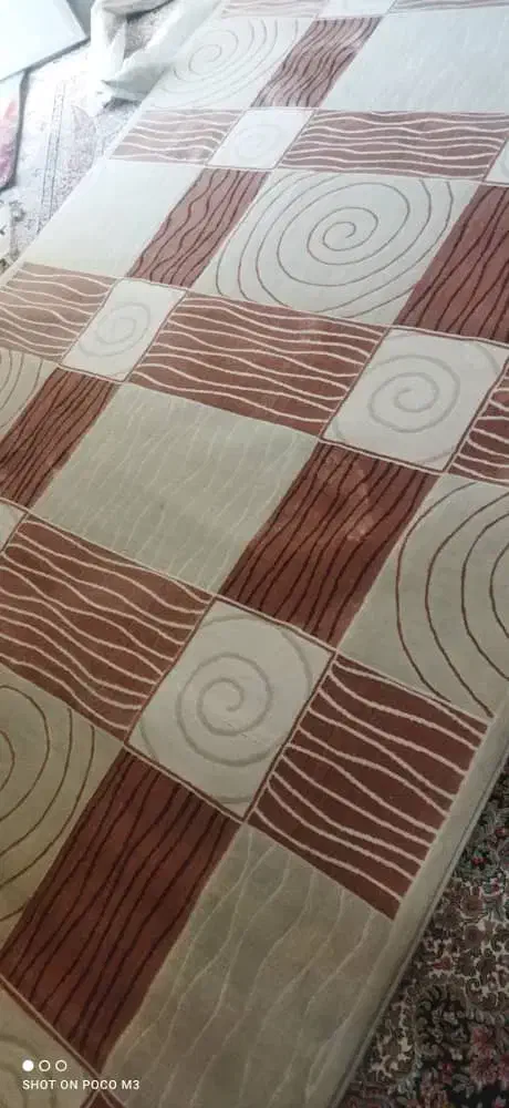 قالی 2در3|فرش|کرمان, |دیوار