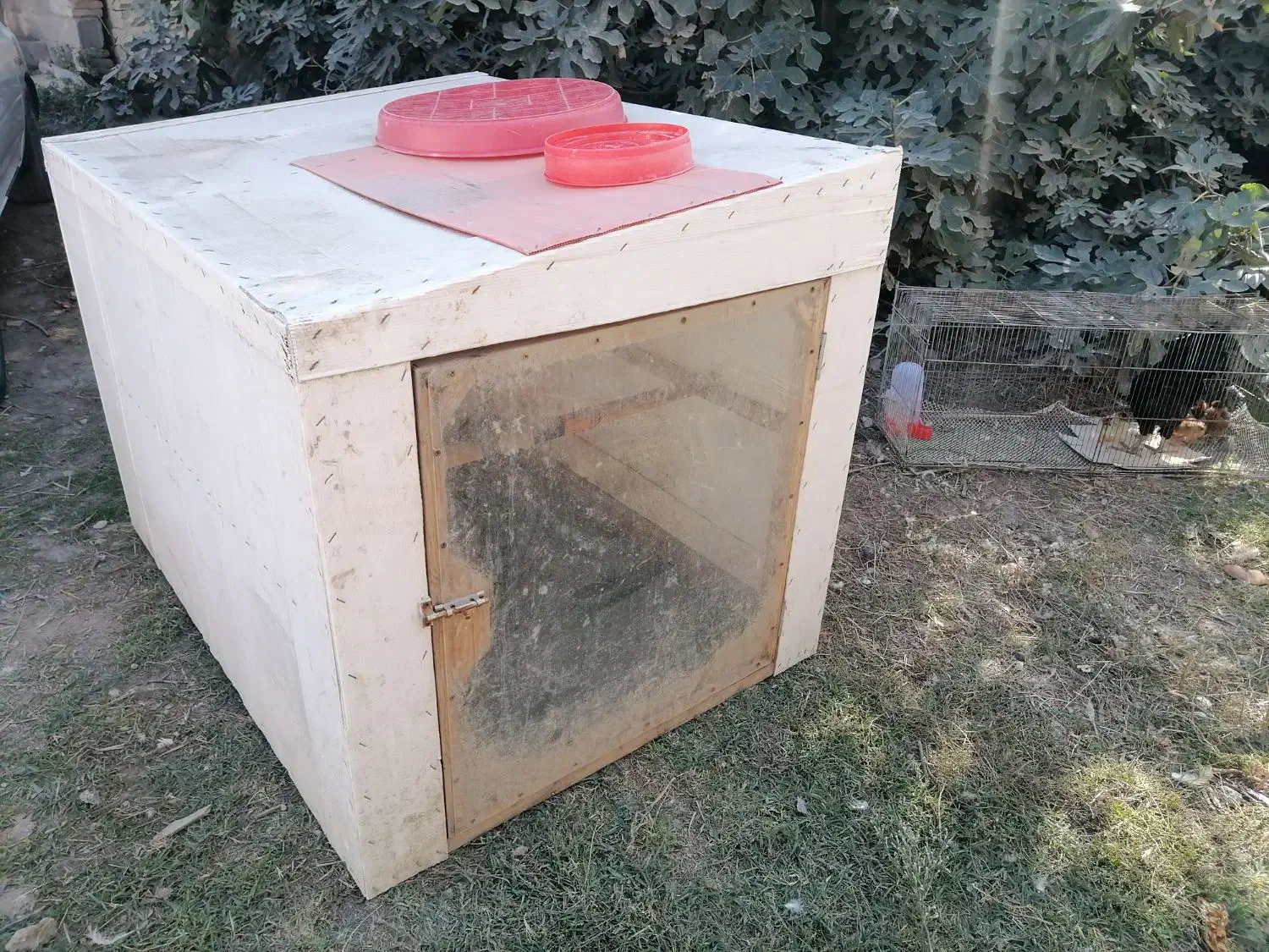 قفس مرغ و جوجه|لوازم جانبی حیوانات|گنبد کاووس, |دیوار