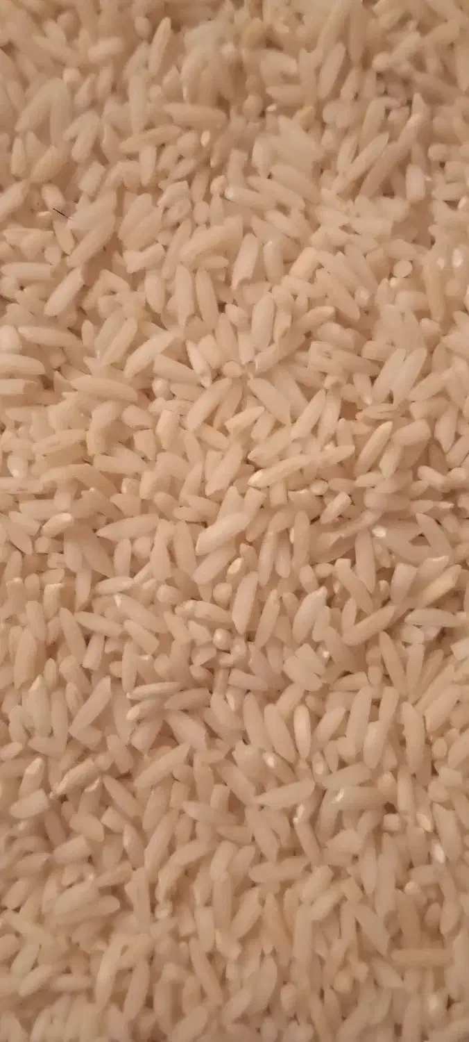 برنج علی کاظمی درجه یک|خوردنی و آشامیدنی|بیرانوند, |دیوار