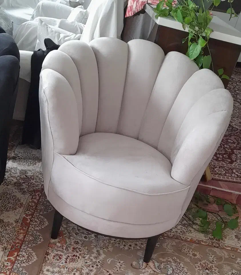 مبل|مبلمان خانگی و میز عسلی|قم, باغ شریفی|دیوار