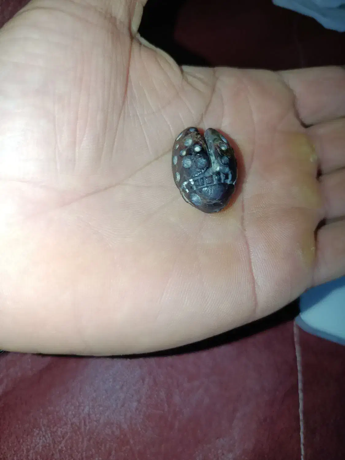 مهره باستانی یاقوت|کلکسیون اشیاء عتیقه|بوشهر, |دیوار