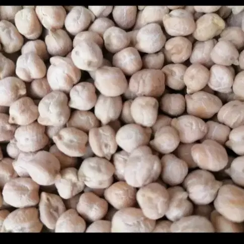 نخود|خوردنی و آشامیدنی|چهاردولی, |دیوار