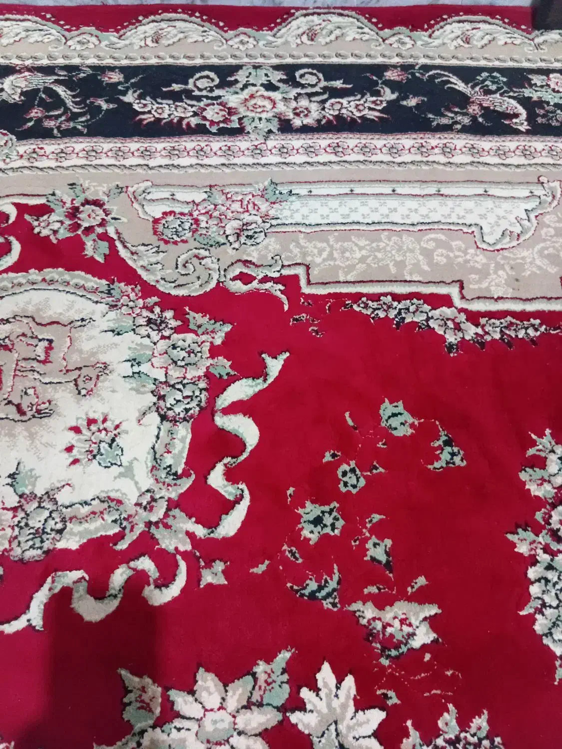 قالی ۳ در۴ درخد نو|فرش|شیروان (خراسان), |دیوار