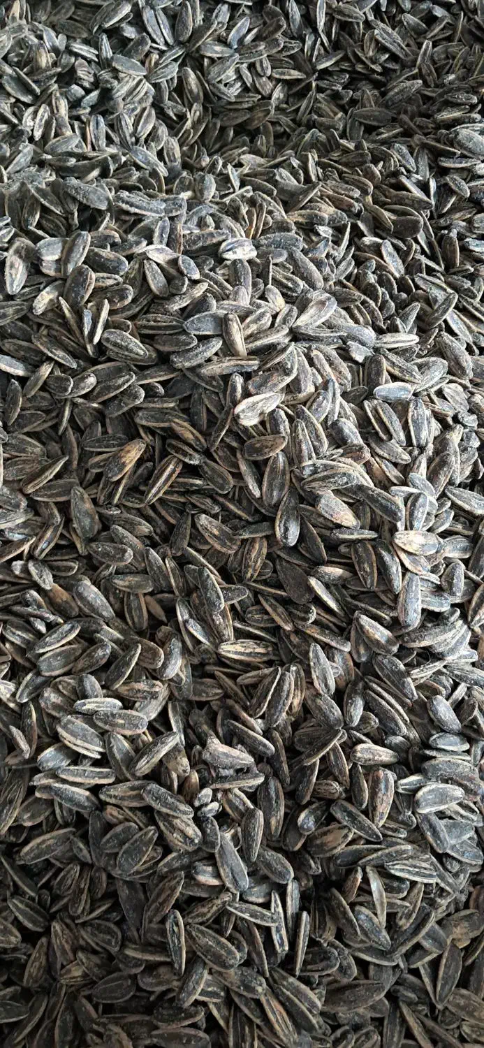 تخمه درشت S400 در طعم های مختلف محصول خوی|خوردنی و آشامیدنی|اصفهان, آزادگان|دیوار